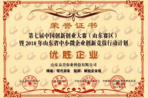 京青科技獲第七屆中國創(chuàng)新創(chuàng)業(yè)大賽暨山東省中小微企業(yè)創(chuàng)新競技行動計劃優(yōu)勝企業(yè)
